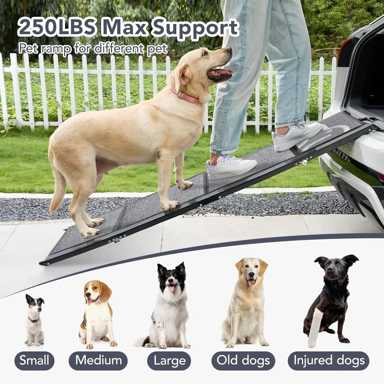 Extra Wide Dog Car Ramp Portable Non-Slip Rug Surface - Live and Luv