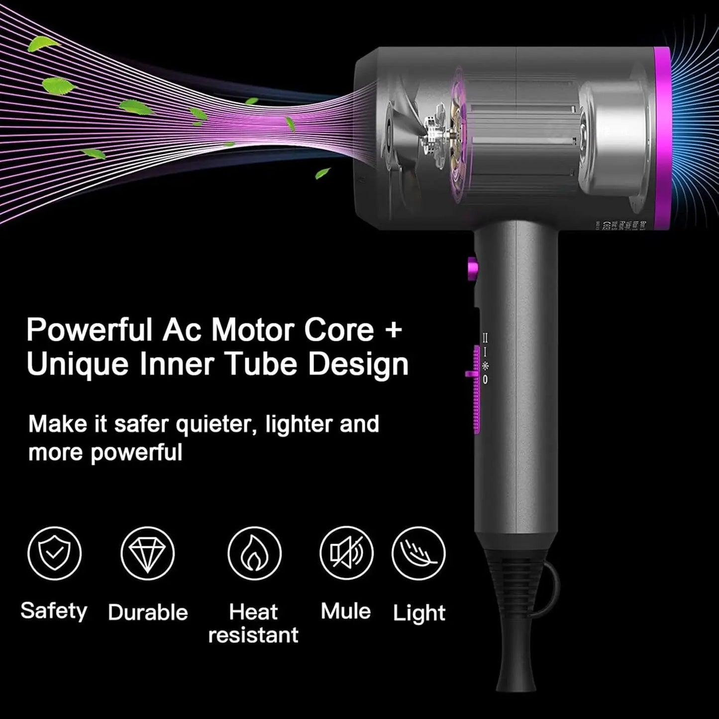 Professional Ionic Hair Dryer