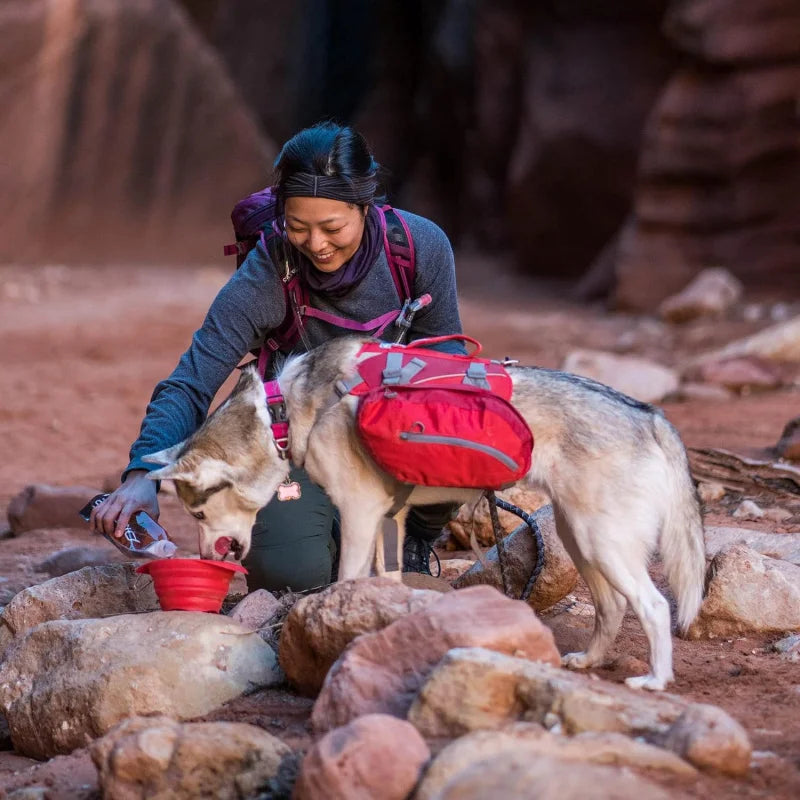 Big Dog Backpack & Saddlebag - Live and Luv