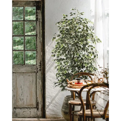 6 FT Artificial Ficus Tree 600 Leaves - Live and Luv